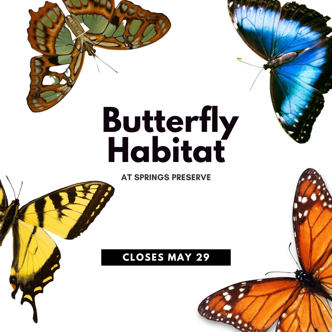 Springs Preserve (SpringsPreserve) / Twitter