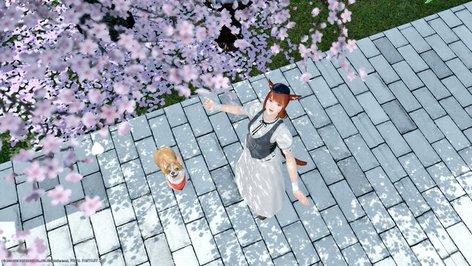 おはようモーニン!5連休も折り返し、いつもお休みって沢山あってもあっという間に終わってしまうの寂しいです;▽; 土日は大雨らしいので今日は頑張って出掛けたい…!