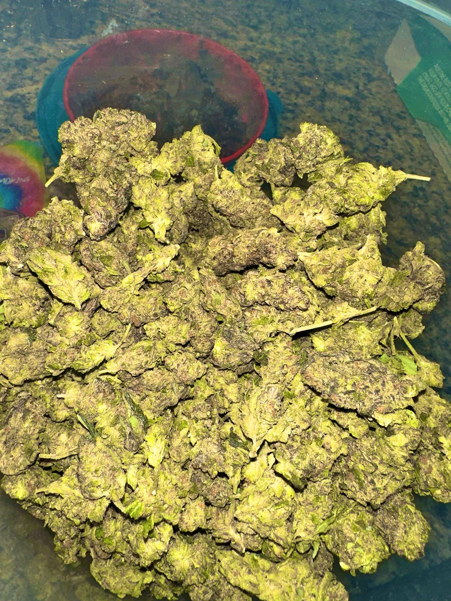 kashBenDaddy on Twitter "White Truffles Baltimore this shit out me Put