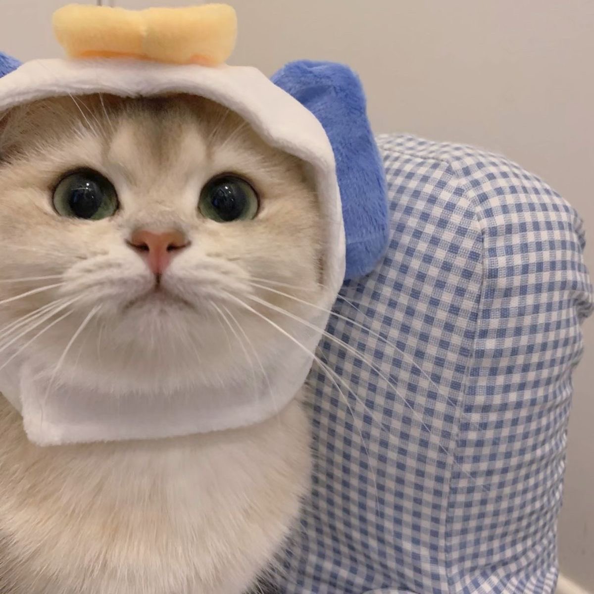 Morning เช้าวันศุกร์นะคะ🦋 เป็นอีกวันที่ต้องตื่นมาสู้ชีวิต หวังว่าจะผ่านมันไปด้วยดี ยิ้มเยอะๆ ให้กำลังใจตัวเองบ่อยๆ ทานข้าวให้อร่อยนอนให้หลับ🪺 ขอให้ทุกคนใจดีกับเธอแล้วอย่าลืมใจดีกับตัวเองด้วยนะคะคนเก่ง💙🫶🏼