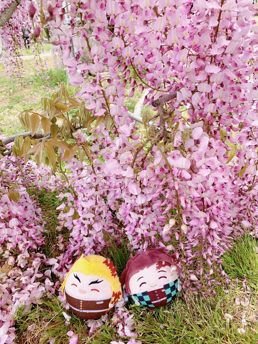✿゜❀.(*'▽`*)❀.゜✿キレイ