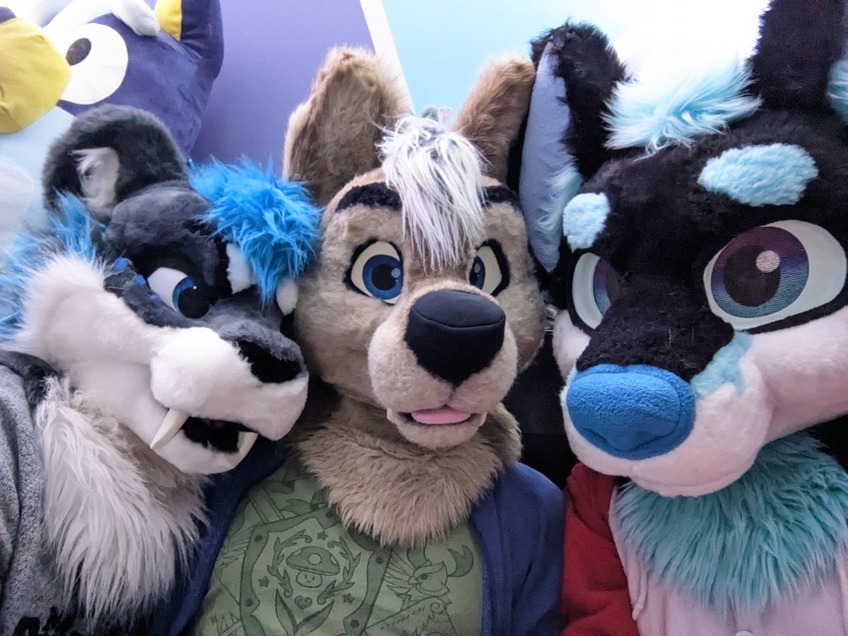 dakotawolf12's tweet photo. I'm so thankful to have 2 amazing bf's. While they can both be big brats at times I wouldn't trade it for anything. We will all be @FurryWeekend next week so please if you see us say hi and snag hugs and pictures. @Mutt_Peanut @ashene64 https://t.co/KkhVKn6C3h