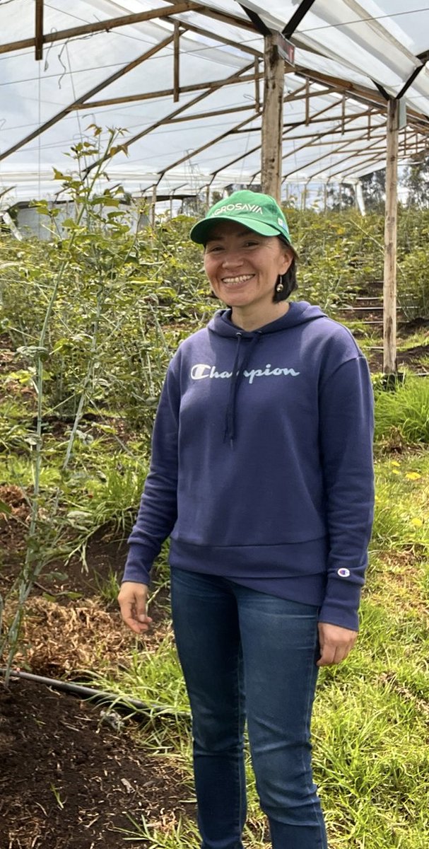JulieVlas's tweet photo. Meet @ErikaSanchezB, our 501st member of the #WiCS Directory and PhD student @SomosAGROSAVIA.

She concentrates on cape gooseberry/blackberry. Her work includes the use/development of molecular markers to characterize plant species and the use of cytogenetics to identify ploidy. https://t.co/CLNRp7vqE2