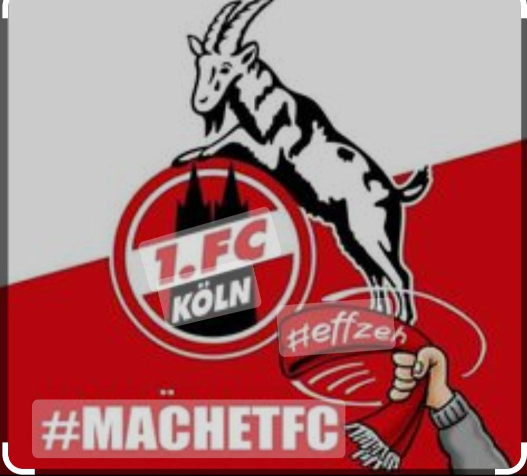 Marso62Marso's tweet photo. ...SPILLDACH...was soll man sagen....Jungs einfach alles geben 💯🔴⚪💯#comeonfc #machetfc #effzeh #Lieblingsverein 🔴⚪💯 https://t.co/MhUTlnXo40