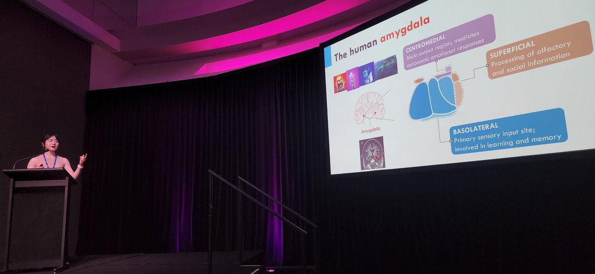 Jess Hazelton (@_jlhazelton) on Twitter photo Amazing work on parcellating the #amygdala into subregions and examining amygdala profiles in #FTD over time by <a href="/huang_mengjie/">mengjie_huang</a>. Very cool research and needed to better understand #socialcognition in #FTD.
<a href="/ASSBI1/">ASSBI</a> <a href="/Olivier_Piguet/">Olivier Piguet</a> <a href="/Frontier_Usyd/">Frontier at Brain & Mind Centre</a> <a href="/DrLandinRomero/">Ramon Landin-Romero</a> #endFTD #ASSBI2023 Amazing work on parcellating the #amygdala into subregions and examining amygdala profiles in #FTD over time by <a href="/huang_mengjie/">mengjie_huang</a>. Very cool research and needed to better understand #socialcognition in #FTD.
<a href="/ASSBI1/">ASSBI</a> <a href="/Olivier_Piguet/">Olivier Piguet</a> <a href="/Frontier_Usyd/">Frontier at Brain & Mind Centre</a> <a href="/DrLandinRomero/">Ramon Landin-Romero</a> #endFTD #ASSBI2023