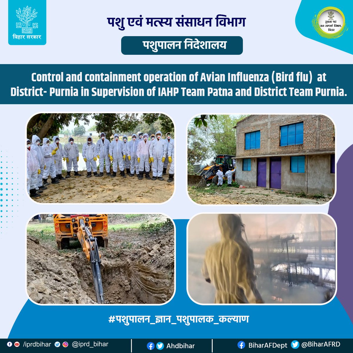 Animal & Fisheries Resources Dept., Bihar (@biharafrd) on Twitter photo Control and containment operation of Avian Influenza (Bird flu) at Dist.- Purnia in Supervision of IAHP Team Patna and Dist. Team Purnia.
<a href="/AfaqueKasbaMLA/">Afaque Alam</a>
<a href="/saravanakr_n/">N Saravana Kumar IAS</a>
<a href="/Dept_of_AHD/">Dept of Animal Husbandry & Dairying, Min of FAH&D</a>
@AnimalBihar
<a href="/DirectorateOfF1/">Directorate Of Fisheries, Bihar, Patna</a>
#पशुपालन_ज्ञान_पशुपालक_कल्याण
#BiharAnimalAndFisheriesResourcesDept Control and containment operation of Avian Influenza (Bird flu) at Dist.- Purnia in Supervision of IAHP Team Patna and Dist. Team Purnia.
<a href="/AfaqueKasbaMLA/">Afaque Alam</a>
<a href="/saravanakr_n/">N Saravana Kumar IAS</a>
<a href="/Dept_of_AHD/">Dept of Animal Husbandry & Dairying, Min of FAH&D</a>
@AnimalBihar
<a href="/DirectorateOfF1/">Directorate Of Fisheries, Bihar, Patna</a>
#पशुपालन_ज्ञान_पशुपालक_कल्याण
#BiharAnimalAndFisheriesResourcesDept
