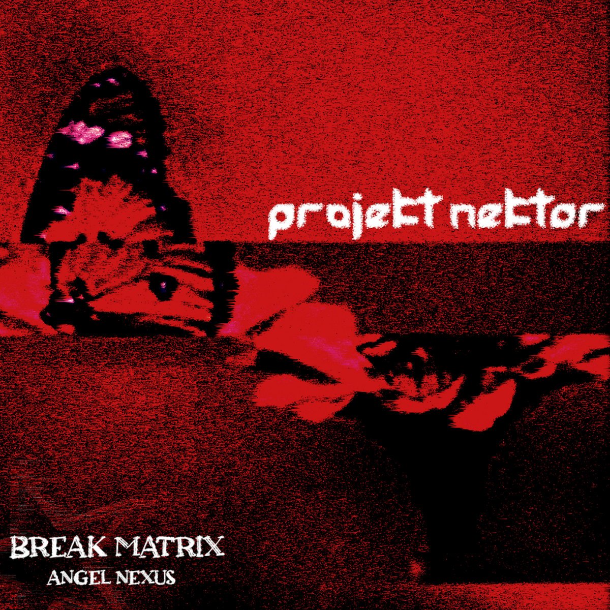 BR34KM4TR1X's tweet photo. PROJEKT NEKTAR IS OUT NOW
GO AND LISTEN AND MAYBE PURCHASE (ALL MONEY GOES TO CHARITY)
https://t.co/SWvWYSUeB8 https://t.co/Hoj02u9fJC