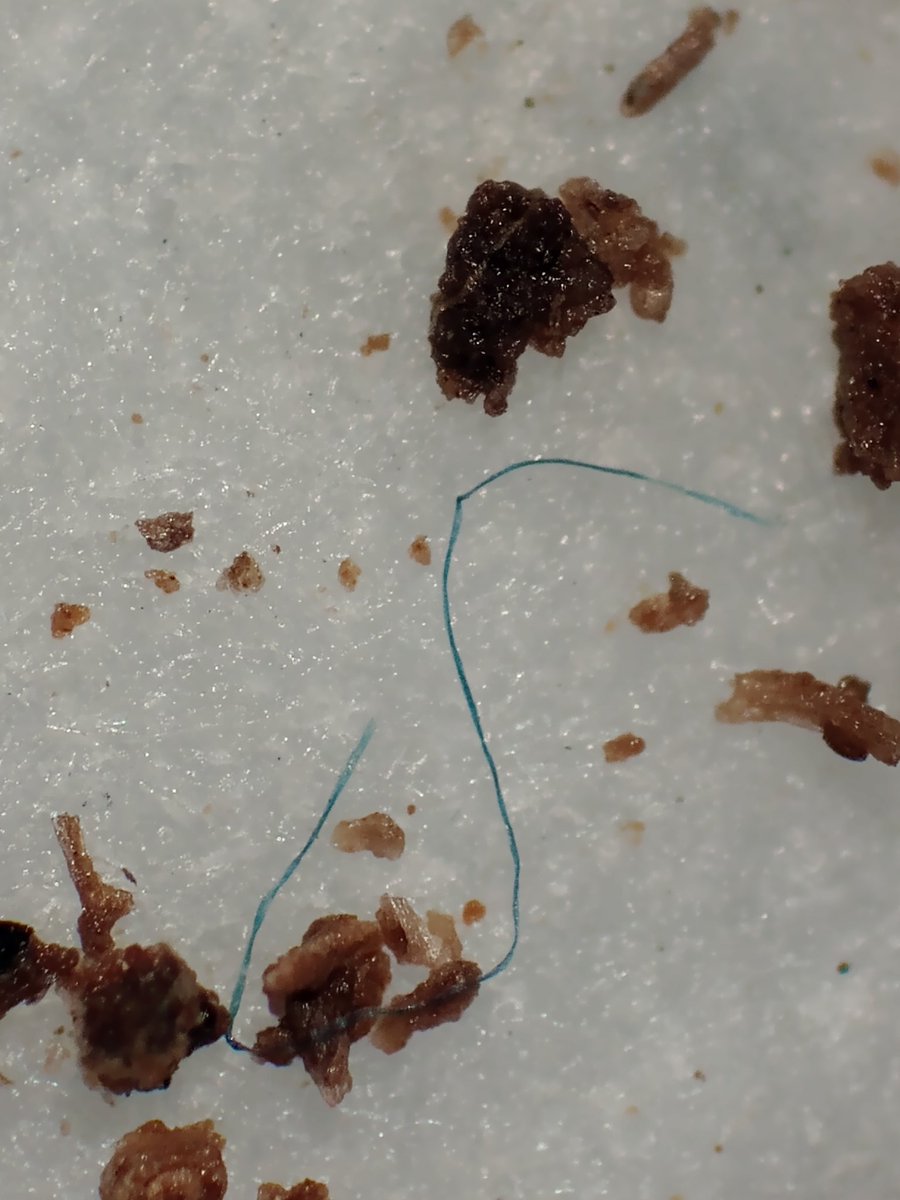 ๐จโ๐ฌAndrew Rate ๐๐ (@drandrewrate) on Twitter photo The most funยฐ lab of every semester for Masters students in <a href="/SAgE_UWA/">UWA SAgE</a> is measuring #microplastics in #wetland sediments ๐ฌ...
with Dr <a href="/emielda_y/">EmieldaY</a> showcasing #XRD in the downtimes ๐คโก
<a href="/UWA_students/">UWA Students</a> <a href="/UWAresearch/">UWA Research</a>
ยฐ <a href="/Degleeson/">Deirdre Gleeson</a> would argue eDNA๐งโ๐ฌ is more fun! The most funยฐ lab of every semester for Masters students in <a href="/SAgE_UWA/">UWA SAgE</a> is measuring #microplastics in #wetland sediments ๐ฌ...
with Dr <a href="/emielda_y/">EmieldaY</a> showcasing #XRD in the downtimes ๐คโก
<a href="/UWA_students/">UWA Students</a> <a href="/UWAresearch/">UWA Research</a>
ยฐ <a href="/Degleeson/">Deirdre Gleeson</a> would argue eDNA๐งโ๐ฌ is more fun!