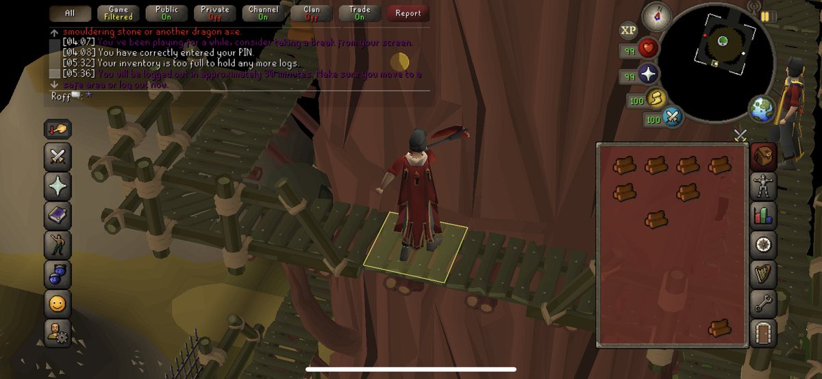 RoffOSRS's tweet photo. Just about 6 houred at work for the first time. Huge W. https://t.co/qqIBF8Vter