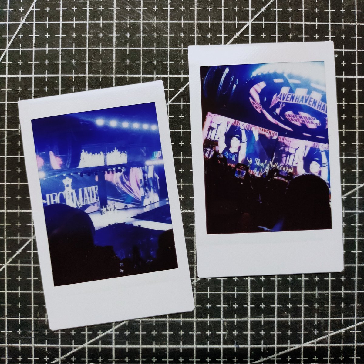 drewcelesdesc's tweet photo. 2023 🫶 skzitzy concerts and fanmeets https://t.co/RK8XVQtGwx