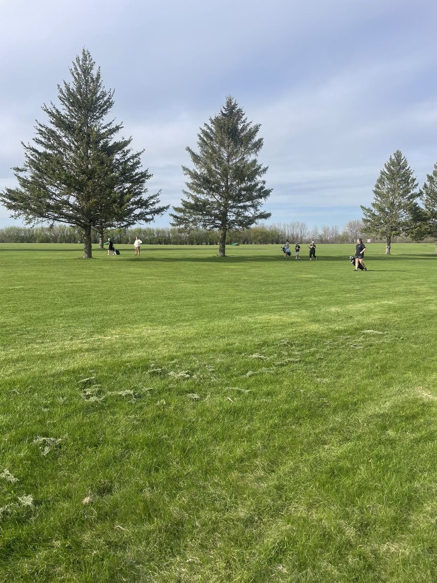 Perfect night for some <a href="/Owatonna_MS/">Owatonna Middle School</a> Golf as our girls defeated Mankato East and West while the boys took a loss to West and beat East. Ella Schuster led all girls with a 39 and Gavin Oldefendt shot our boys’ team low with a 34. Good work Huskies! #OwatonnaProud #WeAreOwatonna