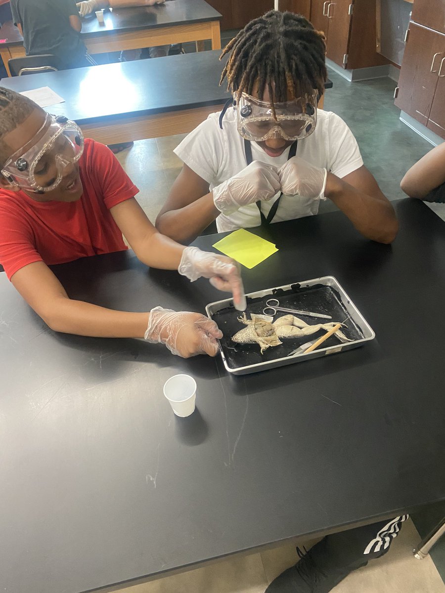 Jacqueline Heineman tweet media