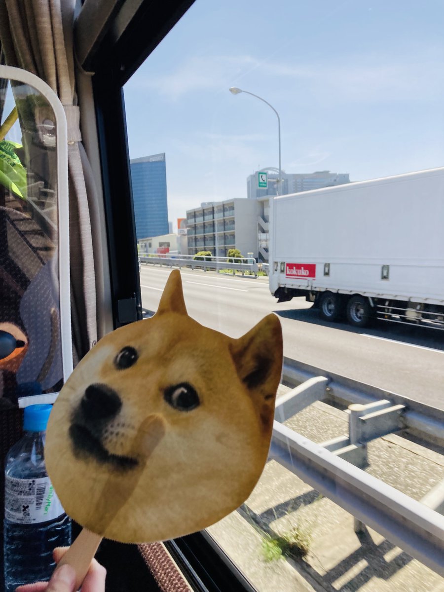 VerseMemeta's tweet photo. Much wow, many historical… We’re heading to meet the #doge right now!
#かぼす巡礼 #dogepilgrinage @ownthedoge https://t.co/PumE94axhP