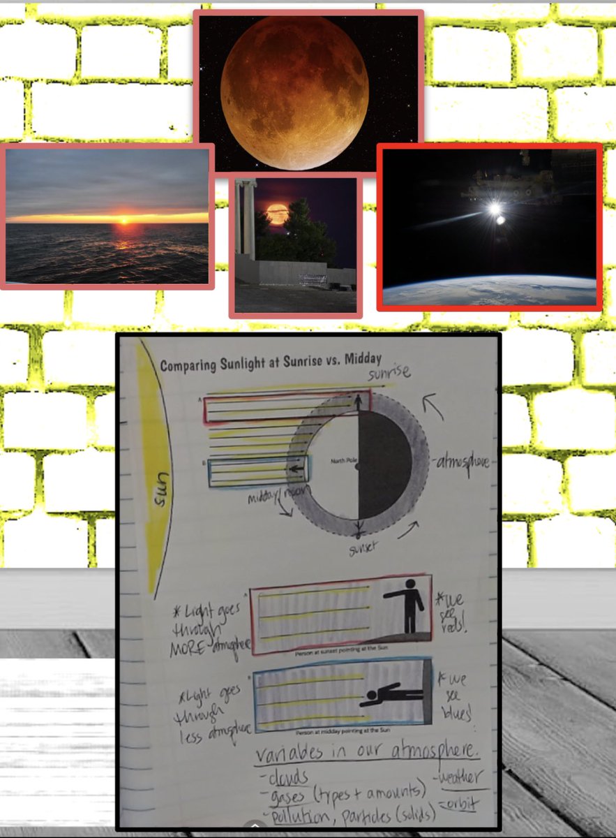 Gretchen Brinza (she/her) tweet media