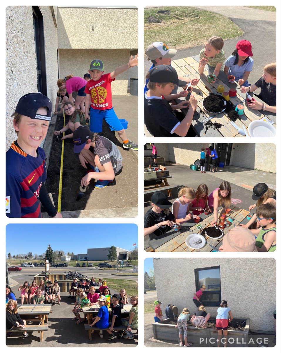 @mrsrafuse tweet media