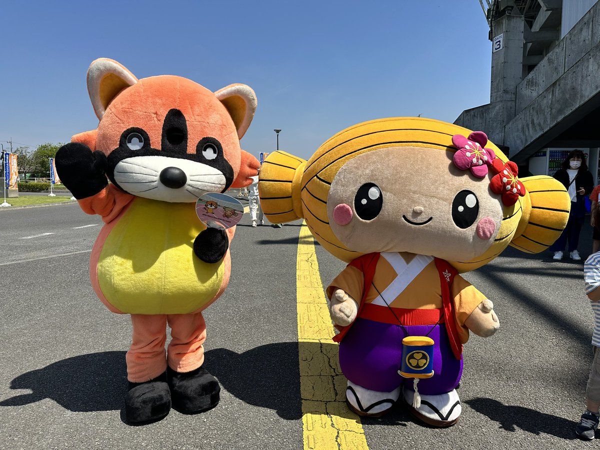 corolla_si's tweet photo. 快晴に恵まれた #ケーズデンキスタジアム にて #日本グランプリシリーズ が行われています🥰
#カロラッキー も #みとちゃん と写真が撮れて嬉しー✨✨
コラボうちわも配布中でーす😎 https://t.co/n5LpZ4Z09R