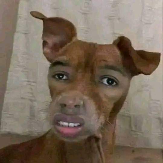 Maap Ga Kliatan tweet media