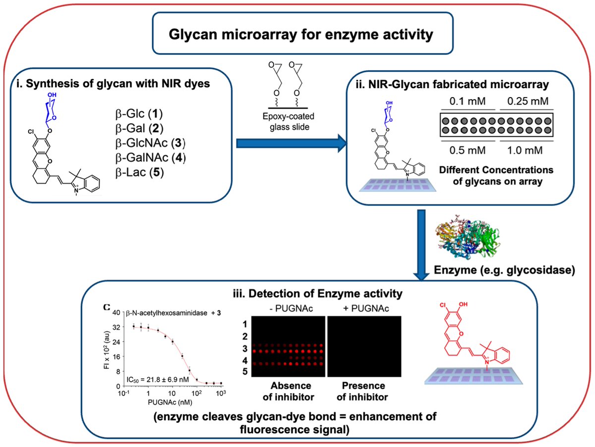 Encyclopedia_X's tweet image. Application of #Biomolecule based #Microarrays
Microarrays are one of the trailblazing technologies of the last two decades and have displayed their importance in all the associated fields of #Biology.
🔗 encyclopedia.pub/entry/43307
@SynBioF_COBRA @IBMM_Balard