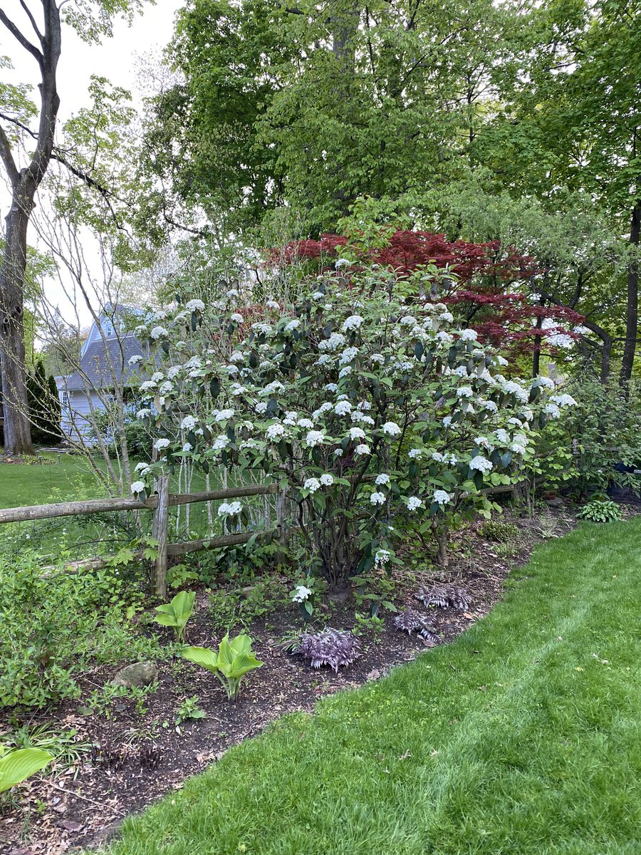 compost maven tweet media