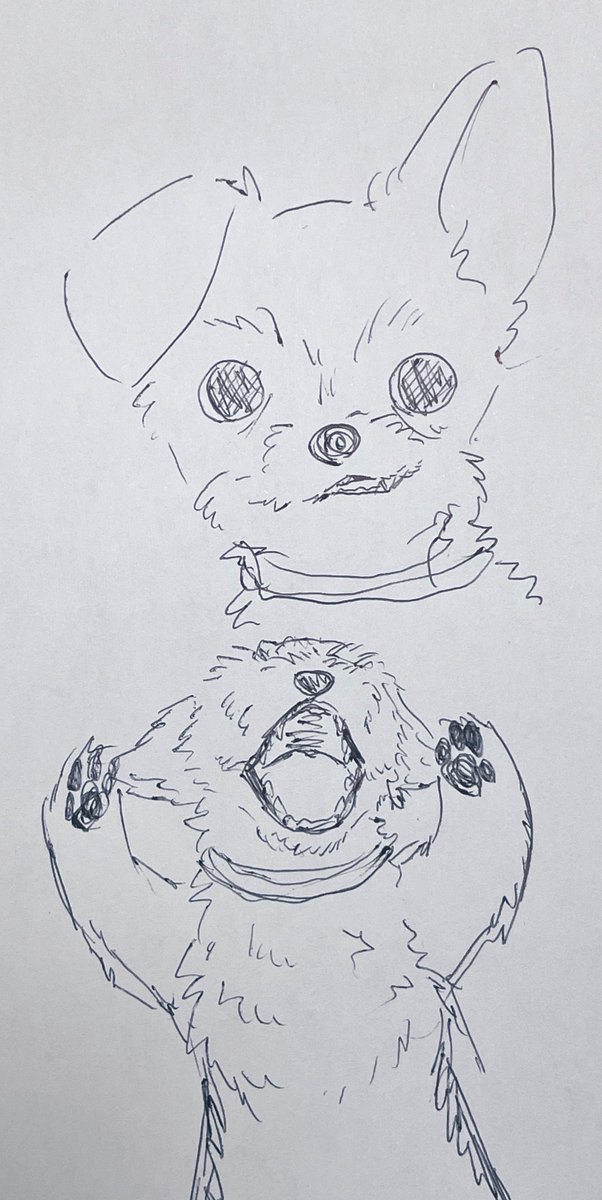 こむぎ氏