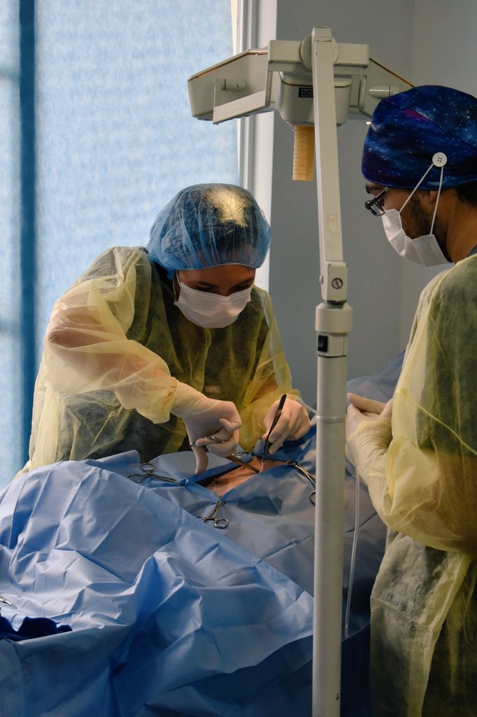 Esterilizando perros callejeros, aportando con su conocimiento y dedicación para controlar la sobre población y brindar calidad de vida. Gracias @tuftsvet @TuftsAlumni @TuftsUniversity @TuftsMedSchool Dr Josué y Emelie en @AmiciCannis Hospital Animal ACHA 🐾