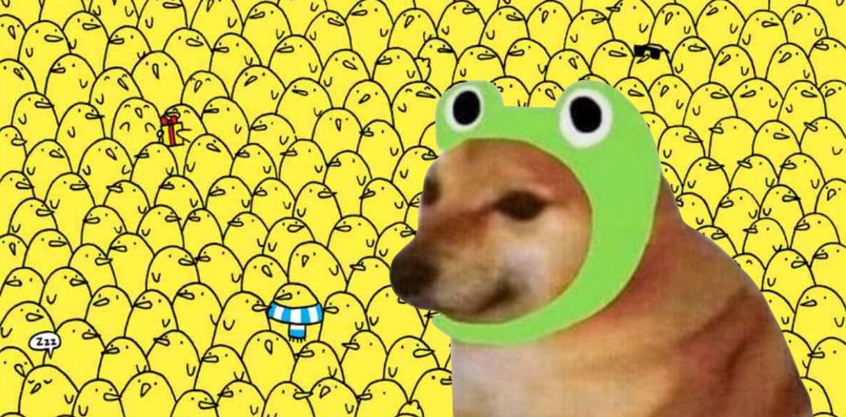 PopDogeCoin's tweet photo. Want to relive the rise of #pepe 🐸 ？
#POGE ！Come here 🐶 https://t.co/Fe6LW76MJa