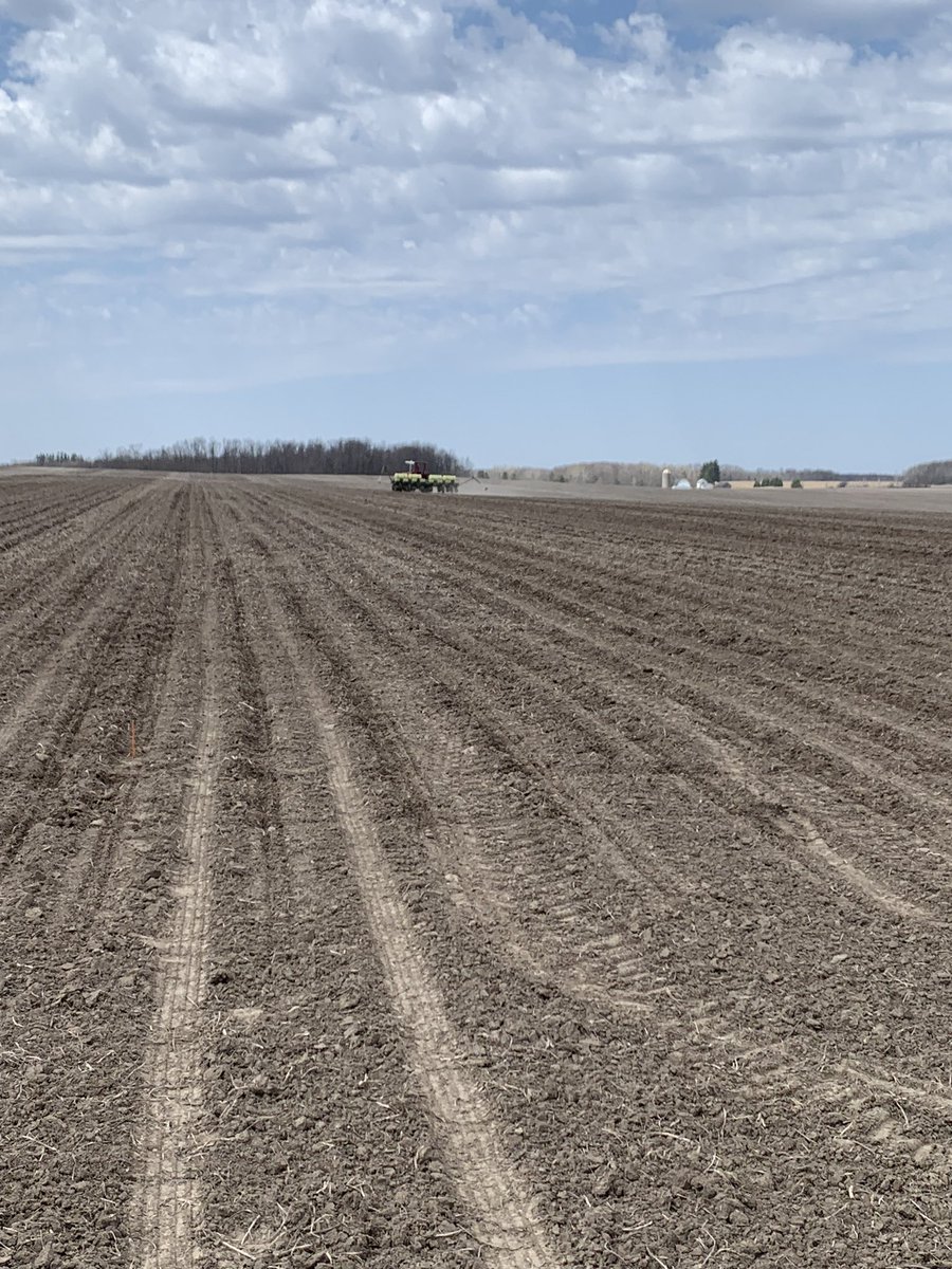 Mike Gronski tweet media