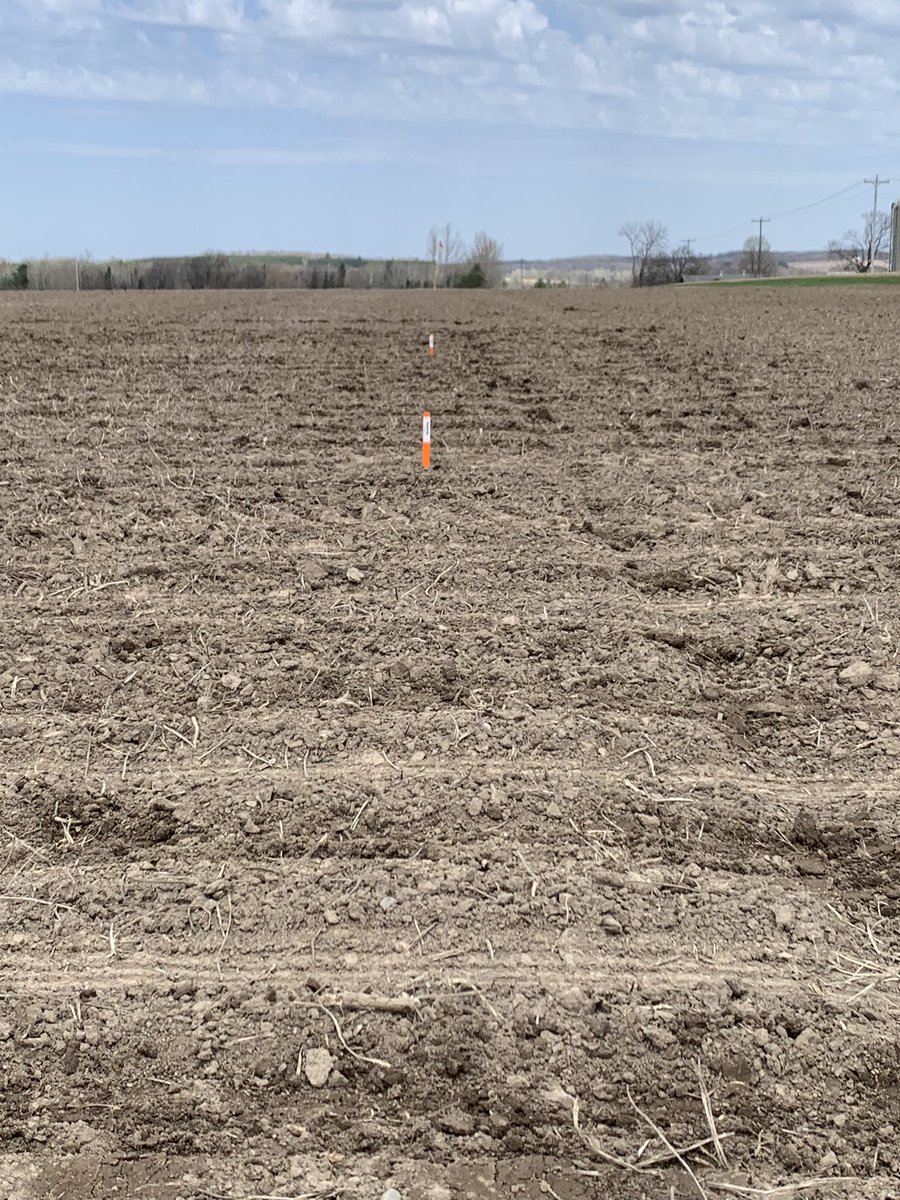 Mike Gronski tweet media