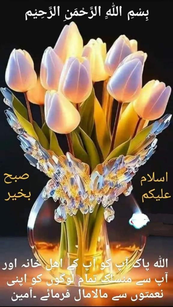 السلامُ علیکم،
صبح بخیر و جمعہ مبارک