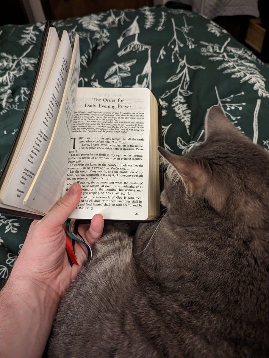 Matthew Emerson tweet media