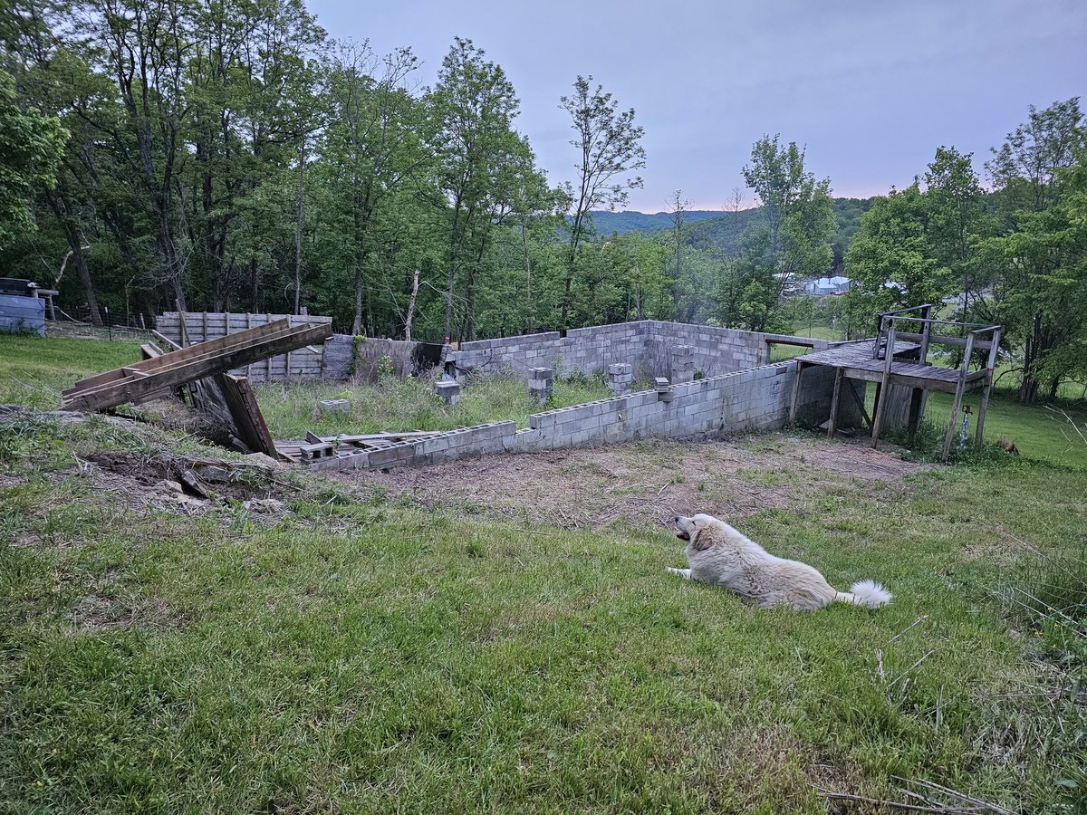 fieldmiles's tweet photo. Future home on old foundation https://t.co/3Xqh1L4IHN