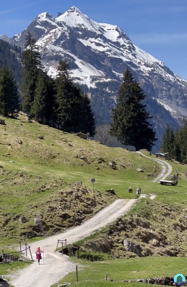 tanyakanrl's tweet photo. 💚 SWISS tuh emang di puncaknya selalu ada salju apapun musimnya? kok gak meleleh? itu yg biasa org2 suka ski kan klo ke swiss? btw bagus bngt disana kek gada polusi😭😭😭😭 https://t.co/Lh3fp4ItRb