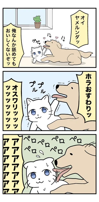 「ヤメルンダッ」