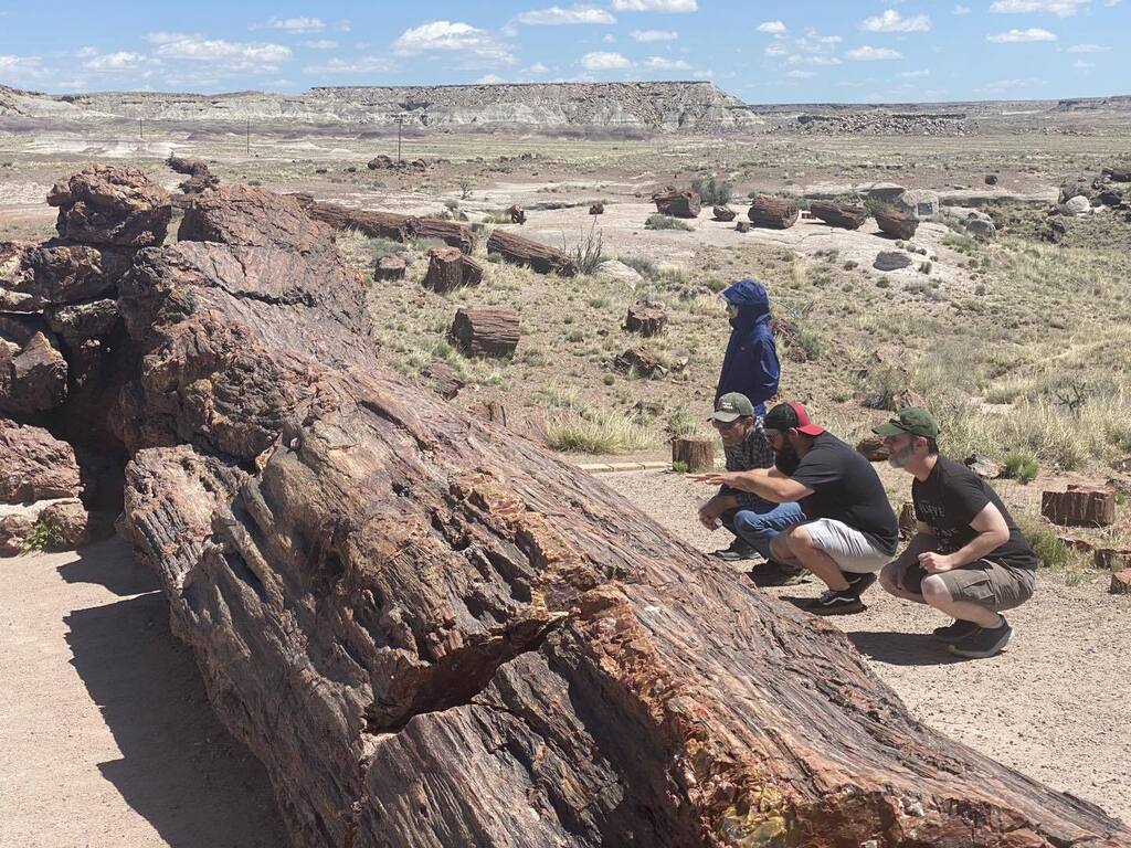canyonmin's tweet photo. Guides Day Out! Today our team went to the Petrified Forest National Park for a day of training and education. https://t.co/gIZ2LYZSXW