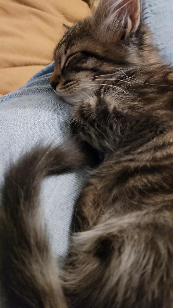 Em Stevens/Ware Wilkins tweet media