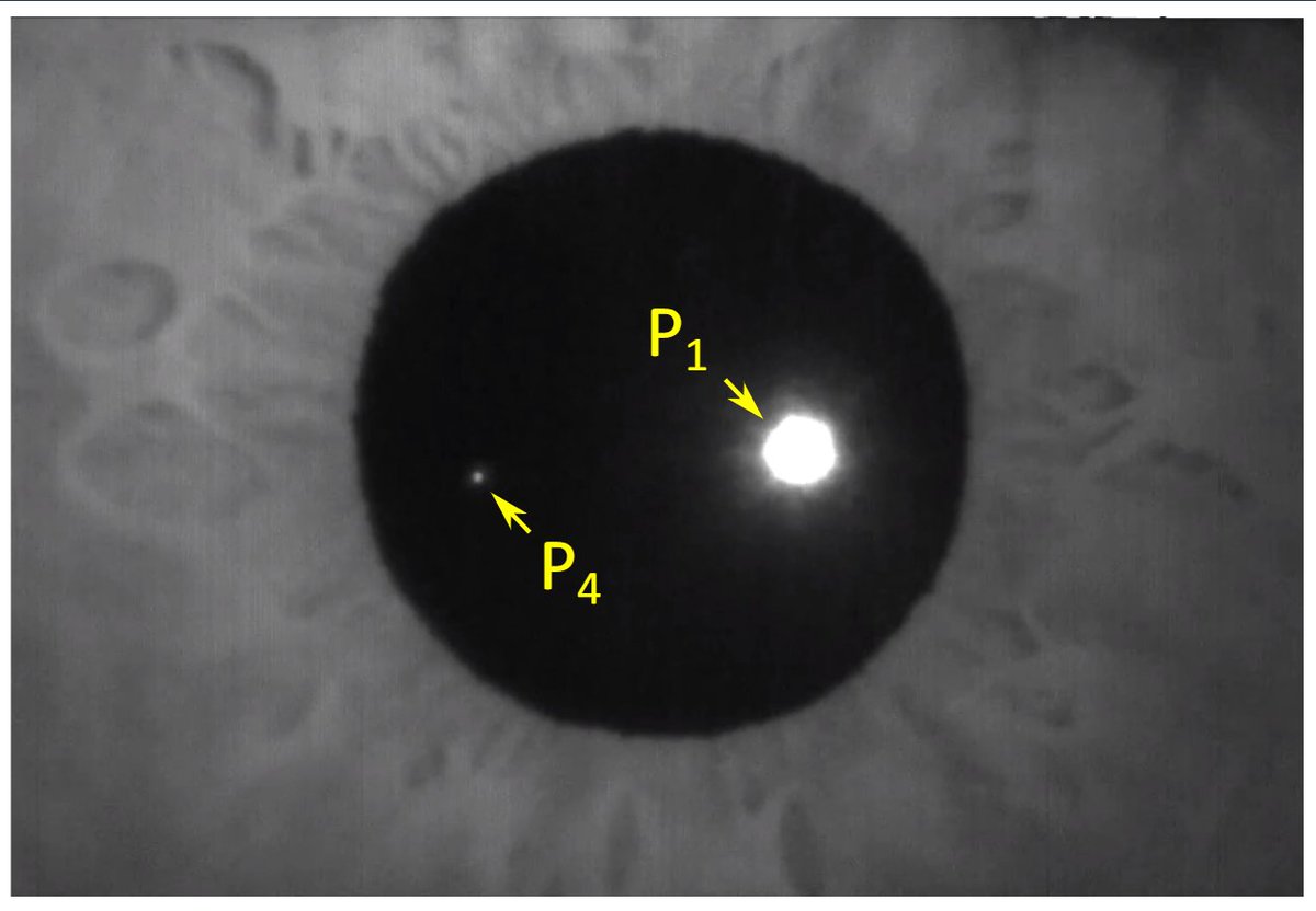 Interested in accurately tracking gaze? Here is a detailed description of our digital DPI bit.ly/3HGXACc The high-resolution #eyetracker based on #Purkinje images that we use in much of our research @CvsUor @UoR_BrainCogSci #URochesterResearch #VisionScience