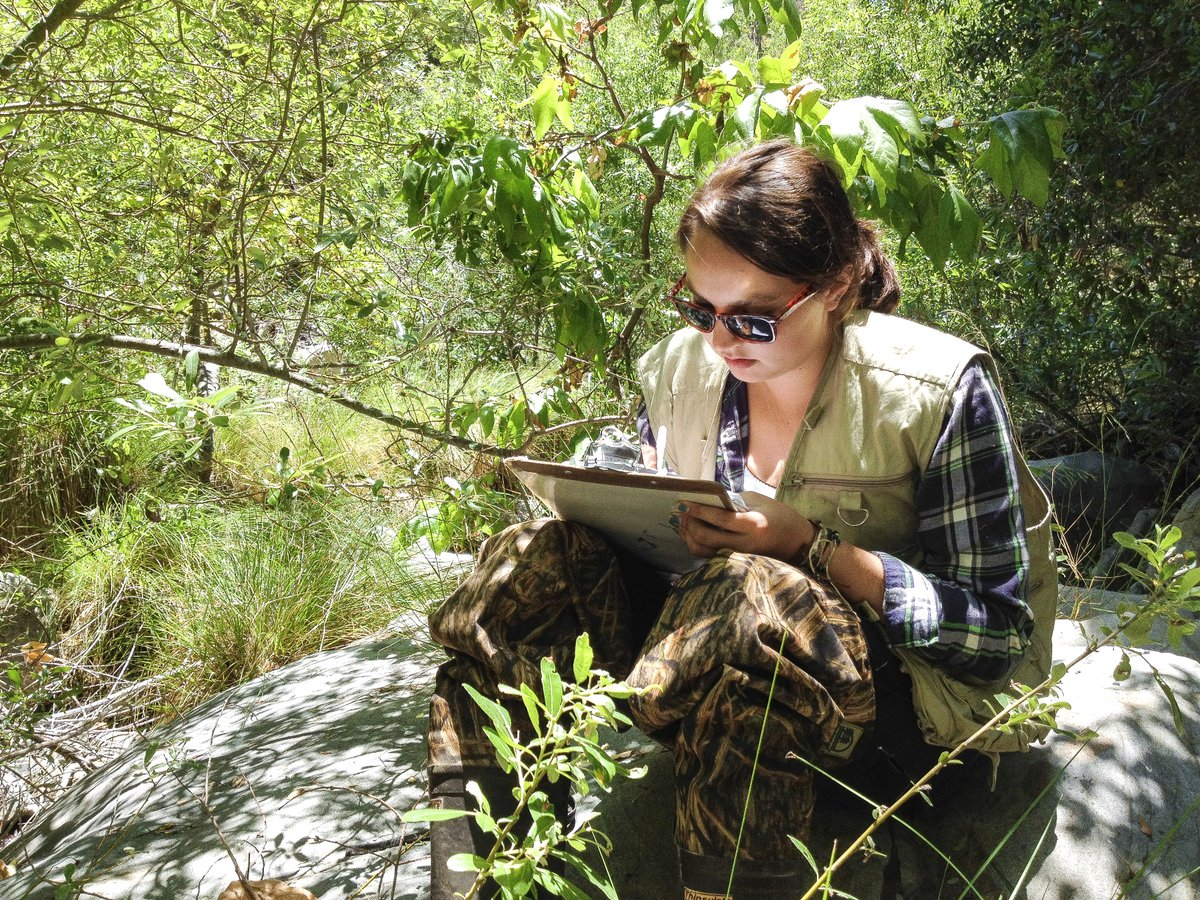 HealTheBay's tweet photo. ✍️Apply for a #SummerInternship with @Healthebay &amp; @healthebayAQ ! Start your #environmentalcareer and help protect our SoCal rivers +watersheds + coastal waters w/ a🌟MPA Watch Internship🌟Aquarist Internship🌟Public Policy Internship AND MORE! APPLY NOW>>https://t.co/SA4FSoUJSM https://t.co/HJzSGcULiE