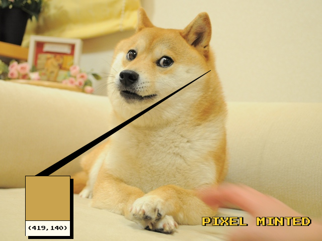DogePixelBot's tweet photo. Pixel (419, 140) minted by bradymck.eth
https://t.co/zFEHnnU9fn https://t.co/dJrhdOdDrB