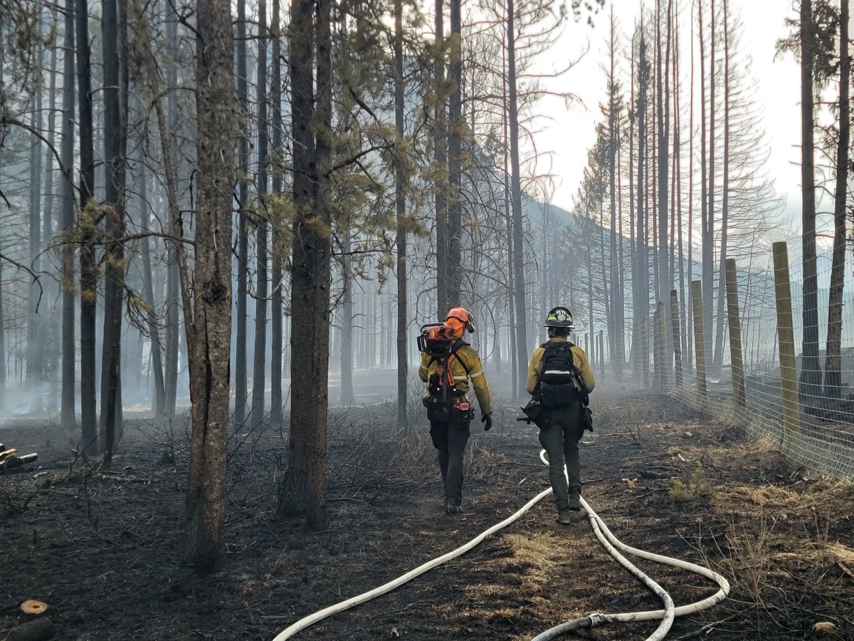 🧵1/5: Fire update

The Compound Meadows prescribed fire excursion remains classified as ‘being held’ at 3 hectares. 
There is no threat to the Town of Banff at this time.