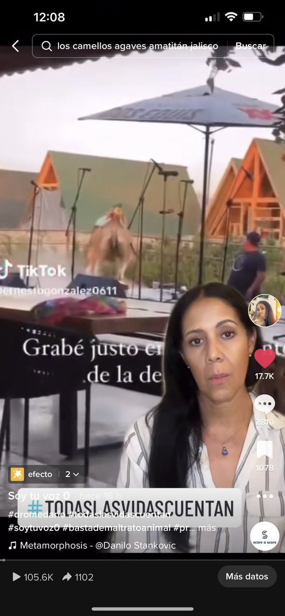 ZUEMYRT's tweet photo. Y el médico que lo reviso y valoro después de haber sido maltratado como se ve en el video adjunto; solicito mi número de folio para dar seguimiento a mi solicitud https://t.co/KZQHGn31uk