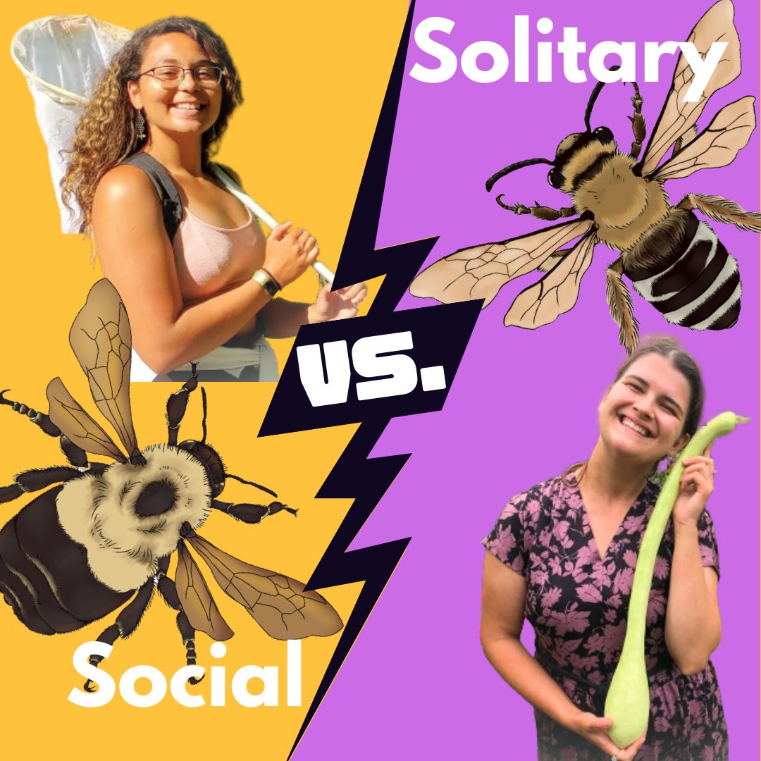 Had an absolute blast tonight. Social vs solitary bees: solitary won! Thanks <a href="/entojen/">Jen</a> for presenting with me and <a href="/BioOnTap/">BiologyOnTap</a> for hosting a great event!