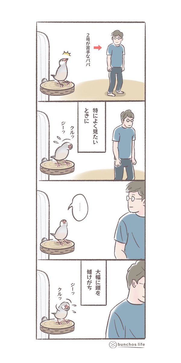 何かよく見たいときに頭を大幅に傾けがちだけど、普通に見たほうがよく見えると思う(今日は端午の節句のため、鯉のぼり風の絵をば唐突に追加しておきます)
#文鳥 
#4コマ漫画 

*過去作ダウンロードできます!(固定ツイート参照) 