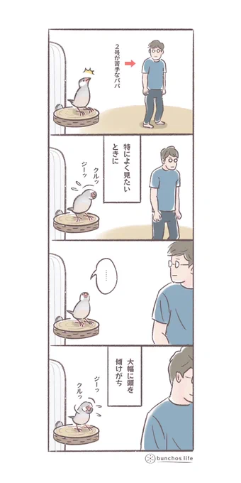 何かよく見たいときに頭を大幅に傾けがちだけど、普通に見たほうがよく見えると思う(今日は端午の節句のため、鯉のぼり風の絵をば唐突に追加しておきます)
#文鳥 
#4コマ漫画 

*過去作ダウンロードできます!(固定ツイート参照) 