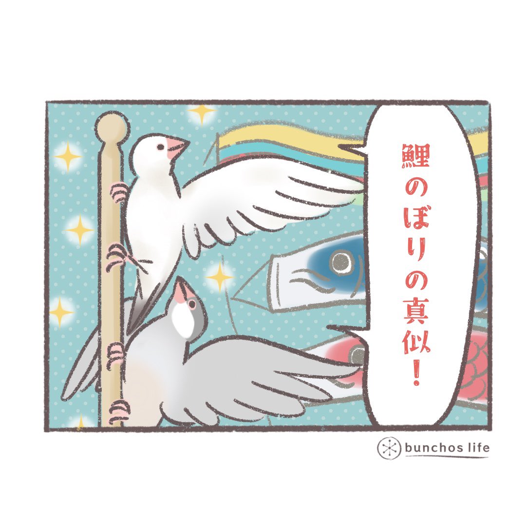 何かよく見たいときに頭を大幅に傾けがちだけど、普通に見たほうがよく見えると思う(今日は端午の節句のため、鯉のぼり風の絵をば唐突に追加しておきます)
#文鳥 
#4コマ漫画 

*過去作ダウンロードできます!(固定ツイート参照) 