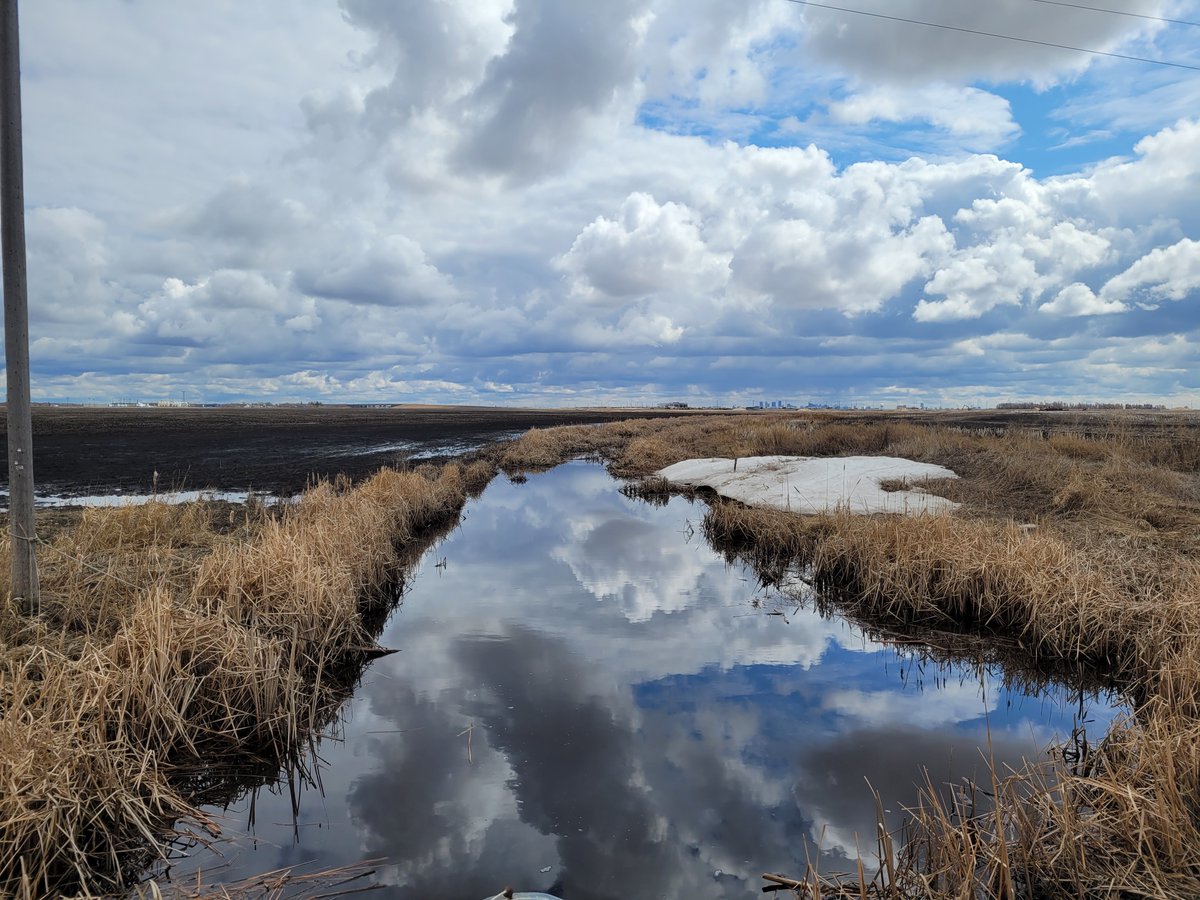 OURS_Winnipeg's tweet photo. Hidden gems in northwest Winnipeg - Omand, Truro and Stugeon Creeks https://t.co/RxWQscp9Yd