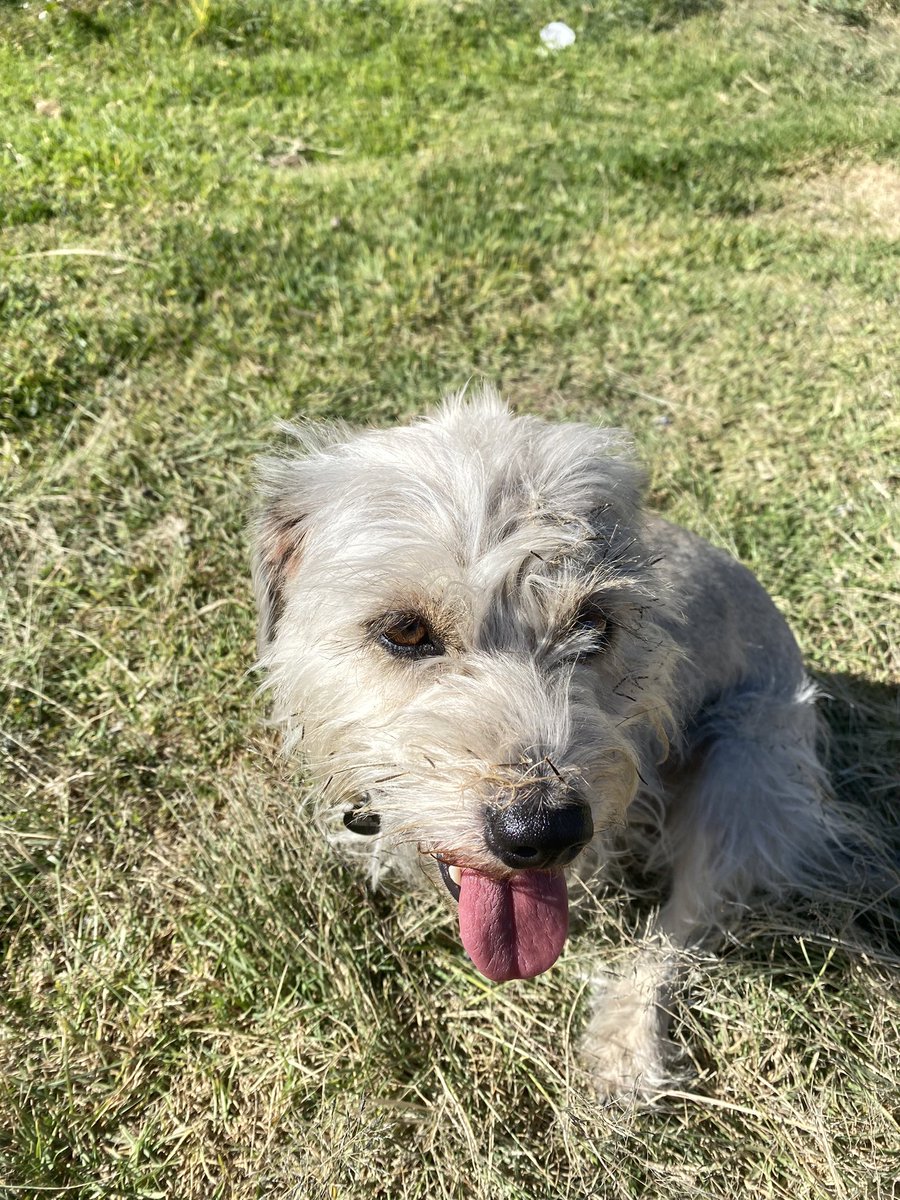 simulcranea's tweet photo. ija d tu ptm!!!! Ya casi es tu cumpleaños te amoooo 🤍 https://t.co/u2jzsVTzSd