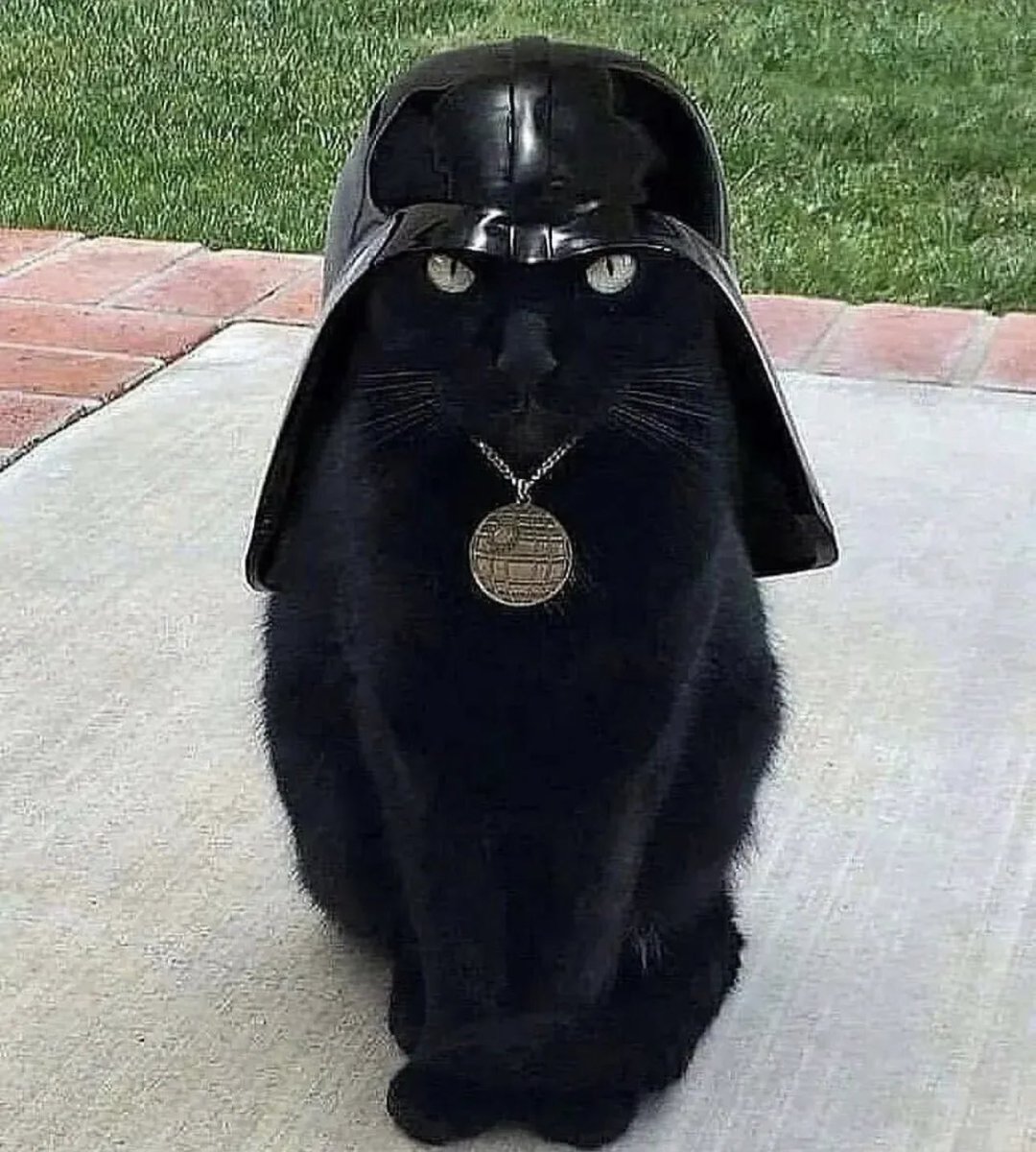 Jyael1's tweet photo. @neiltyson May the fourth be with you! https://t.co/Xwa7P1ZtiS