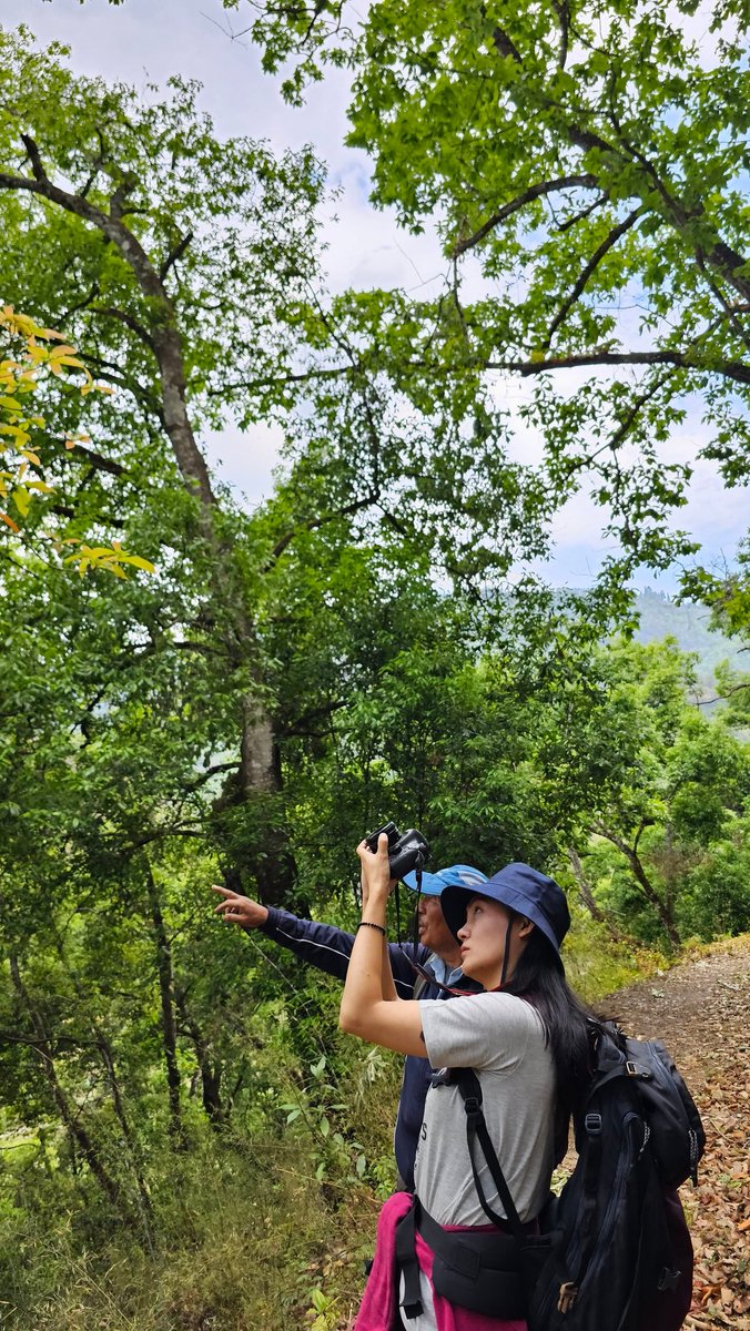 Have you tried the #transbhutantrail ? The entire stretch that begins from Haa (western Bhutan) all the way to Trashigang will take a month to complete. I'm taking baby steps and starting off with the Chandana trail in Punakha. Stay tuned 😊