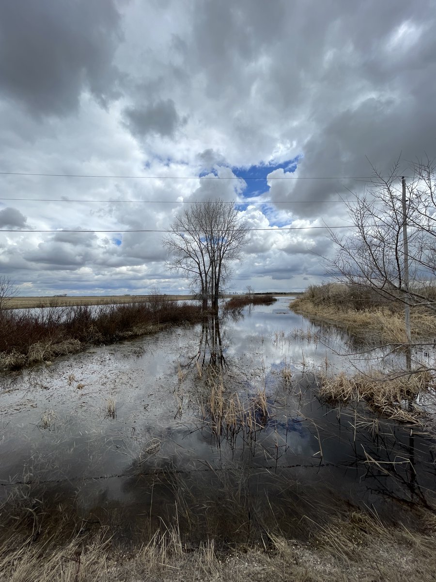OURS_Winnipeg's tweet photo. Hidden gems in northwest Winnipeg - Omand, Truro and Stugeon Creeks https://t.co/RxWQscp9Yd