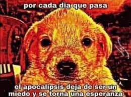 foxxworldd's tweet photo. @EsdeProfugos Lo peor que esos prófugos son los que rapido se reproducen https://t.co/68MLBorOk5